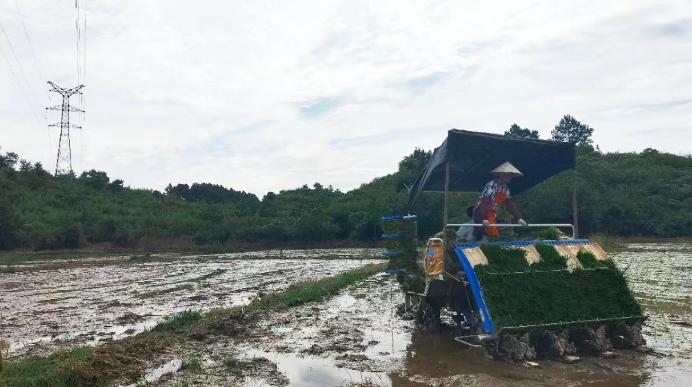 49020f0f5c7ee22f0ef39944850d86ef_W020240620539082494330.jpg 49020f0f5c7ee22f0ef39944850d86ef_W020240620539082494330.jpg