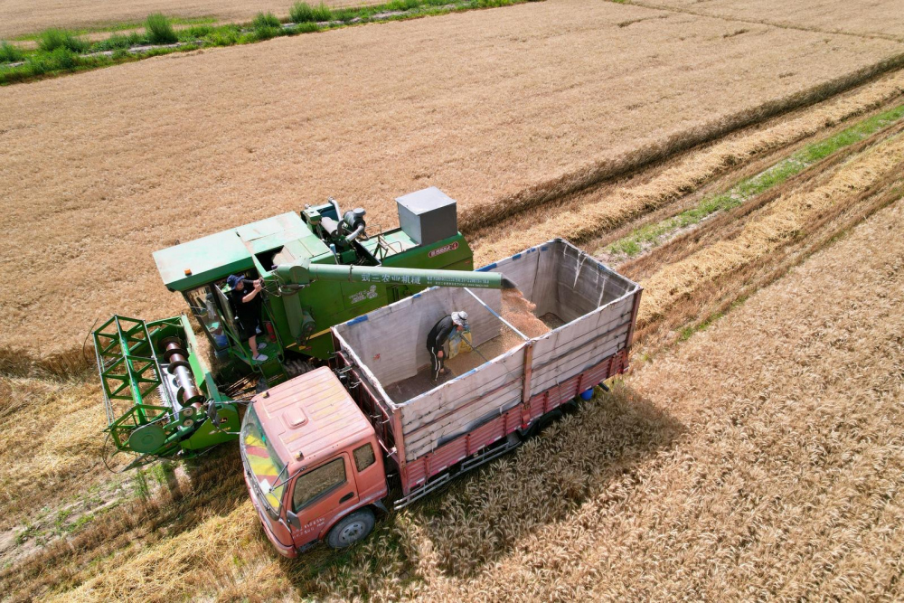 d84621bfc83e4b0d6a2c65ea275d6e50_bb33ef92-88a2-4a6d-87d6-e46f3e639f61_time=1720512383594314.jpg d84621bfc83e4b0d6a2c65ea275d6e50_bb33ef92-88a2-4a6d-87d6-e46f3e639f61_time=1720512383594314.jpg