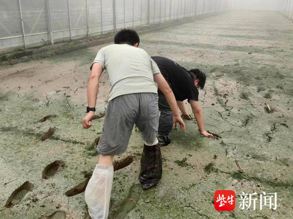 a3eec5101452a7d17e640d2002e93cf7_1_imageslim.jpg a3eec5101452a7d17e640d2002e93cf7_1_imageslim.jpg